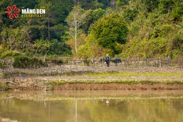 MĂNG ĐEN ULTRA TRAIL 2026 - Ảnh #4523344