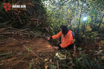 MĂNG ĐEN ULTRA TRAIL 2026 - Ảnh #4514254
