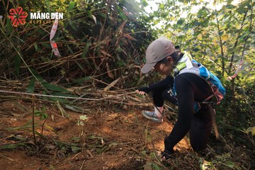 MĂNG ĐEN ULTRA TRAIL 2026 - Ảnh #4512916