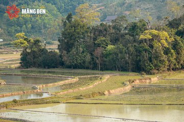 MĂNG ĐEN ULTRA TRAIL 2026 - Ảnh #4523178