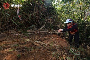 MĂNG ĐEN ULTRA TRAIL 2026 - Ảnh #4514126