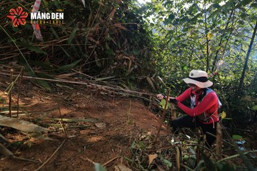MĂNG ĐEN ULTRA TRAIL 2026 - Ảnh #4514308
