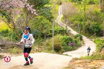 Ảnh sự kiện PRENN TRAIL SUMMIT 2025 - 00f0e47af50f0531536a91a65a15696e.jpg