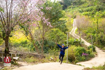 Ảnh sự kiện PRENN TRAIL SUMMIT 2025 - 015d7083a66e311ef318ce11aacfd47f.jpg