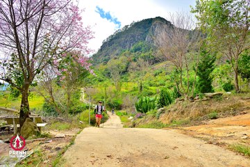 Ảnh sự kiện PRENN TRAIL SUMMIT 2025 - 02deed1ebb81d9982889f4931af92de4.jpg