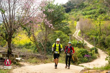 Ảnh sự kiện PRENN TRAIL SUMMIT 2025 - 0331cff0bbf6b50ccbee04471308412d.jpg