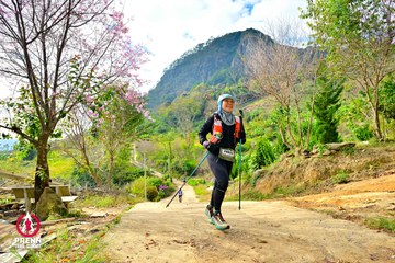 Ảnh sự kiện PRENN TRAIL SUMMIT 2025 - 035a70f9103f4db9091d105932d2cd41.jpg