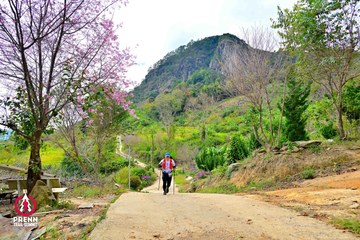 Ảnh sự kiện PRENN TRAIL SUMMIT 2025 - 042077c6b7975330a10b2051931e3d5b.jpg
