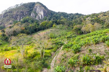 Ảnh sự kiện PRENN TRAIL SUMMIT 2025 - 050932585659bb16c9b47c7da0cfa73d.jpg