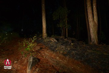 Ảnh sự kiện PRENN TRAIL SUMMIT 2025 - 057fa1f441dd588715d3a7ac7d82432c.jpg