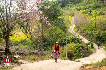 Ảnh sự kiện PRENN TRAIL SUMMIT 2025 - 0588ae7e6d80089bea6893e7f22ab4d7.jpg