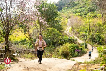 Ảnh sự kiện PRENN TRAIL SUMMIT 2025 - 05cdd834db20fa7f6437d8a4896881ed.jpg