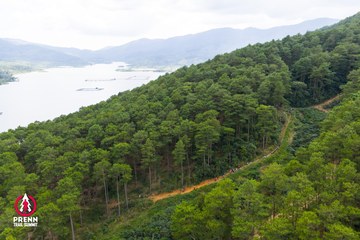 Ảnh sự kiện PRENN TRAIL SUMMIT 2025 - 0792aa9239d103cca95d837ddaa16ce3.jpg
