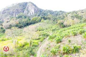 Ảnh sự kiện PRENN TRAIL SUMMIT 2025 - 07adba4bca3ebdc09b8b3f3122eb4a32.jpg