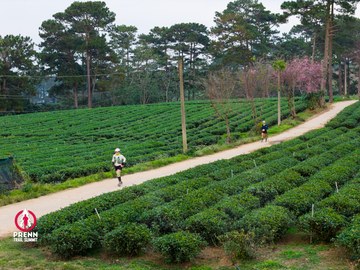 Ảnh sự kiện PRENN TRAIL SUMMIT 2025 - 07c60be4b6bb5a4f2744197af38c2f24.jpg