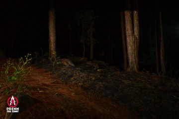 Ảnh sự kiện PRENN TRAIL SUMMIT 2025 - 083398273d1934a32380aeec1c0bfe6e.jpg