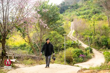 Ảnh sự kiện PRENN TRAIL SUMMIT 2025 - 0996bbceac5a299c62cf60fd39c9894e.jpg
