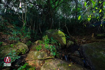 Ảnh sự kiện PRENN TRAIL SUMMIT 2025 - 099de245f6123176015b7bee7e3a37d5.jpg