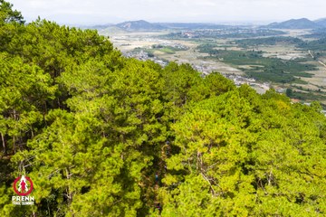 Ảnh sự kiện PRENN TRAIL SUMMIT 2025 - 09d5e7423c9538660ee72d1673600a3e.jpg