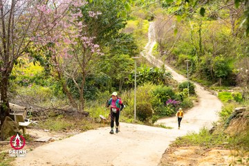 Ảnh sự kiện PRENN TRAIL SUMMIT 2025 - 0d1356fdfc308e9415e54fa09a35f49f.jpg