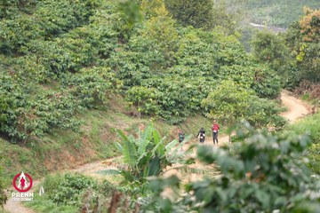 Photo PRENN TRAIL SUMMIT 2025 - 0d1554ba83dfdd0c73f5d48fba90c4b9.jpg