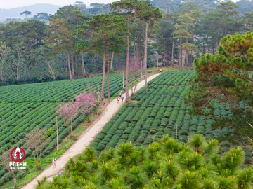 Ảnh sự kiện PRENN TRAIL SUMMIT 2025 - 0da3b7104db13b926f4d15c8cf5f2e52.jpg