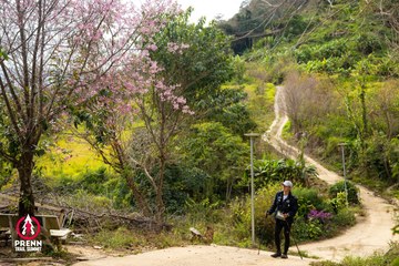 Ảnh sự kiện PRENN TRAIL SUMMIT 2025 - 0e463f10951ea3dd5c80dd424488fb67.jpg