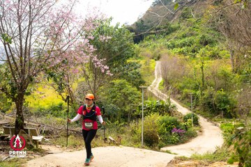 Ảnh sự kiện PRENN TRAIL SUMMIT 2025 - 0f6d5fa43d108012ee88c75431b59e0f.jpg
