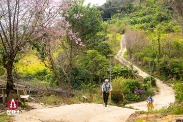 Ảnh sự kiện PRENN TRAIL SUMMIT 2025 - 0f791f5ae3d16826ccd5842589291fbb.jpg