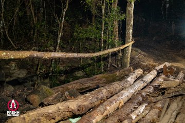 Ảnh sự kiện PRENN TRAIL SUMMIT 2025 - 10882b8fb0e1b46db2fb73aa499edf10.jpg