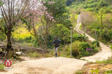 Ảnh sự kiện PRENN TRAIL SUMMIT 2025 - 133303002ec161e9bddcb6ebbcd27846.jpg