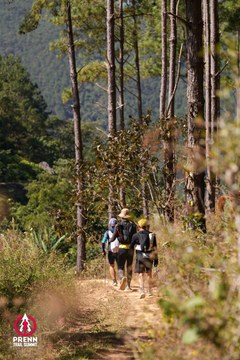 Photo PRENN TRAIL SUMMIT 2025 - 16d398e2a2ef4dd4e8ed41fea188a111.jpg
