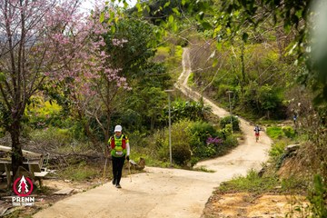Ảnh sự kiện PRENN TRAIL SUMMIT 2025 - 1737b1f7d19d0cd4bb8643044389f912.jpg