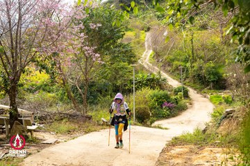 Ảnh sự kiện PRENN TRAIL SUMMIT 2025 - 17f503e820d4ca6a45e79f39796e467f.jpg