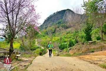 Ảnh sự kiện PRENN TRAIL SUMMIT 2025 - 181059f9bbf6e7a55faa4ce86b7b990e.jpg