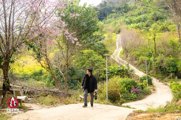 Ảnh sự kiện PRENN TRAIL SUMMIT 2025 - 1904af523aea80fdf667d67e492baa94.jpg