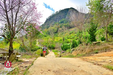 Ảnh sự kiện PRENN TRAIL SUMMIT 2025 - 1d79e4bd74174f4efdab453f2a130e35.jpg