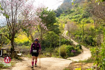 Ảnh sự kiện PRENN TRAIL SUMMIT 2025 - 1fbd649b5a56917dee21867a85778d1b.jpg