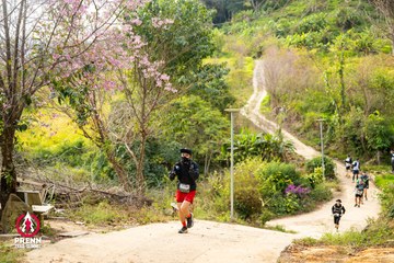 Ảnh sự kiện PRENN TRAIL SUMMIT 2025 - 1fc36da6f0db0fd71461c6134c66b27e.jpg
