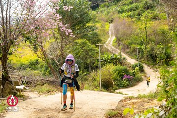 Ảnh sự kiện PRENN TRAIL SUMMIT 2025 - 1ff6abd99b4dce22f59c139f058c2b14.jpg
