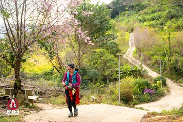 Ảnh sự kiện PRENN TRAIL SUMMIT 2025 - 1ffd19b9178867f031a7cdea26aecc4f.jpg