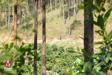 Ảnh sự kiện PRENN TRAIL SUMMIT 2025 - 20a96eea2d1facc3cb71cb614a495e4c.jpg
