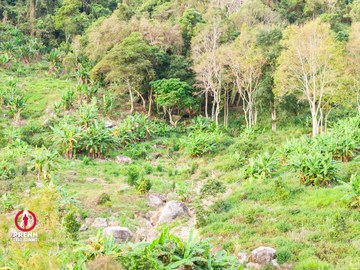 Ảnh sự kiện PRENN TRAIL SUMMIT 2025 - 212366b6276d8970337d75bd7774e27b.jpg