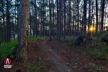 PRENN TRAIL SUMMIT 2025 - Ảnh #4619173