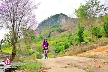 Ảnh sự kiện PRENN TRAIL SUMMIT 2025 - 22a9bca4e95a2b6095c9c6b6d31111e8.jpg