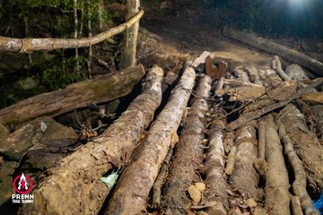 Ảnh sự kiện PRENN TRAIL SUMMIT 2025 - 23f158787688ae3e6afbb40f91954c30.jpg