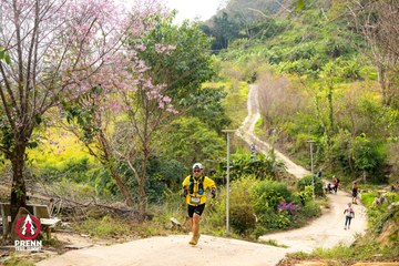 Ảnh sự kiện PRENN TRAIL SUMMIT 2025 - 24eff1d0f181c47b809b8effc3cfb84d.jpg
