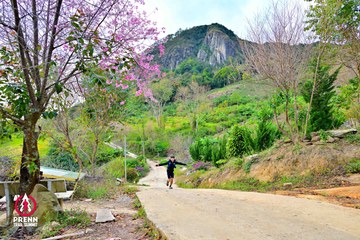 Ảnh sự kiện PRENN TRAIL SUMMIT 2025 - 26a77f8a81fc17dc2259bbc6e70cf151.jpg