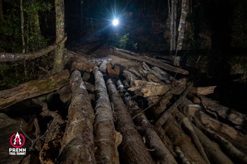 Photo PRENN TRAIL SUMMIT 2025 - 26bd211e9429d35362dd2b916e04fe0c.jpg