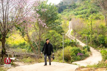 Ảnh sự kiện PRENN TRAIL SUMMIT 2025 - 2754e189d599c916e342d251a9219225.jpg
